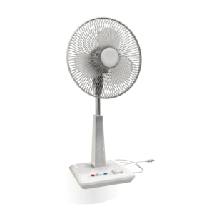 Fans